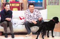 News photo