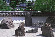News photo