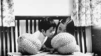 News photo