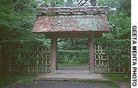 News photo