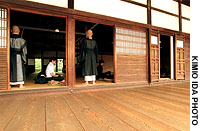 News photo