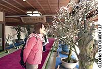 News photo