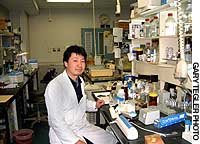 News photo