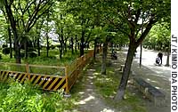 News photo
