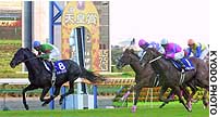 News photo