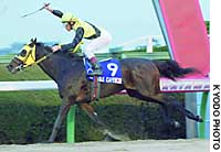 News photo
