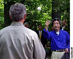 News photo