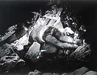 News photo