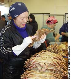 News photo