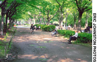 News photo
