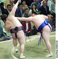 News photo