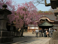 News photo