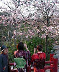 News photo