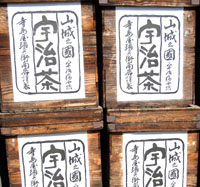 News photo
