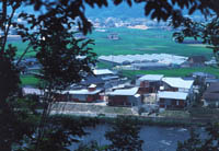News photo