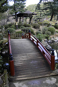 News photo