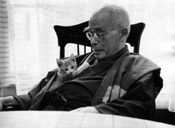 News photo