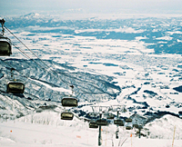 News photo