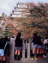 News photo
