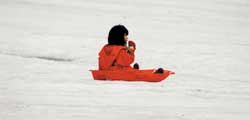 News photo