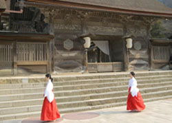 News photo