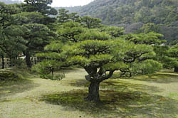 News photo