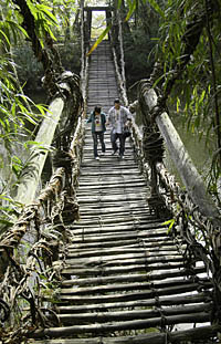 News photo