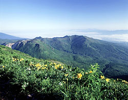 News photo
