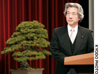 News photo