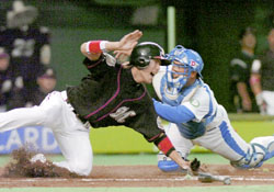 News photo