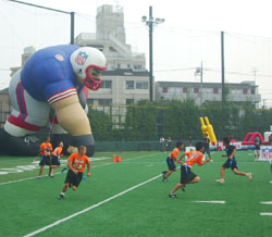 News photo