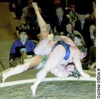 News photo