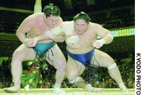 News photo