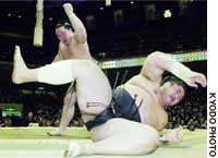 News photo