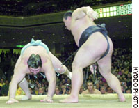 News photo