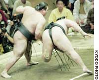 News photo