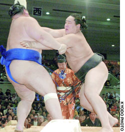 News photo