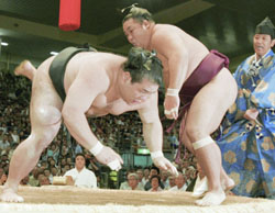 News photo
