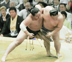 News photo