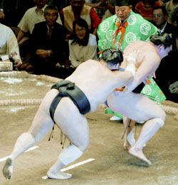News photo