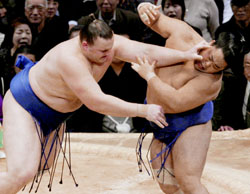 News photo