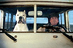 Bombon: El Perro