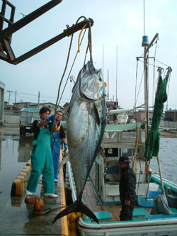 News photo