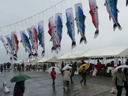 News photo