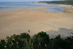 A northern beachead at Iriomote