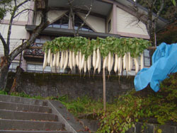 News photo