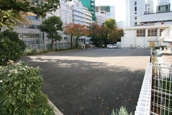 News photo