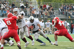 News photo