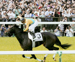 News photo