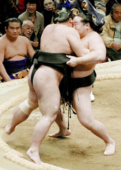 News photo